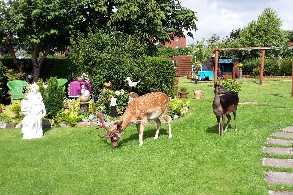 Heidi-Borkum-Garten3
